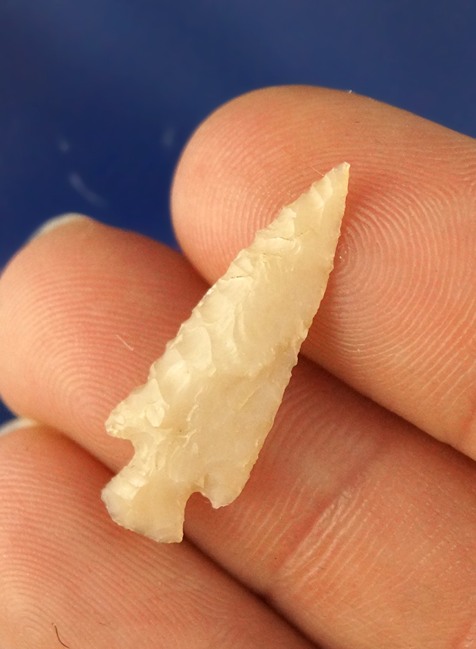 Main artifact image