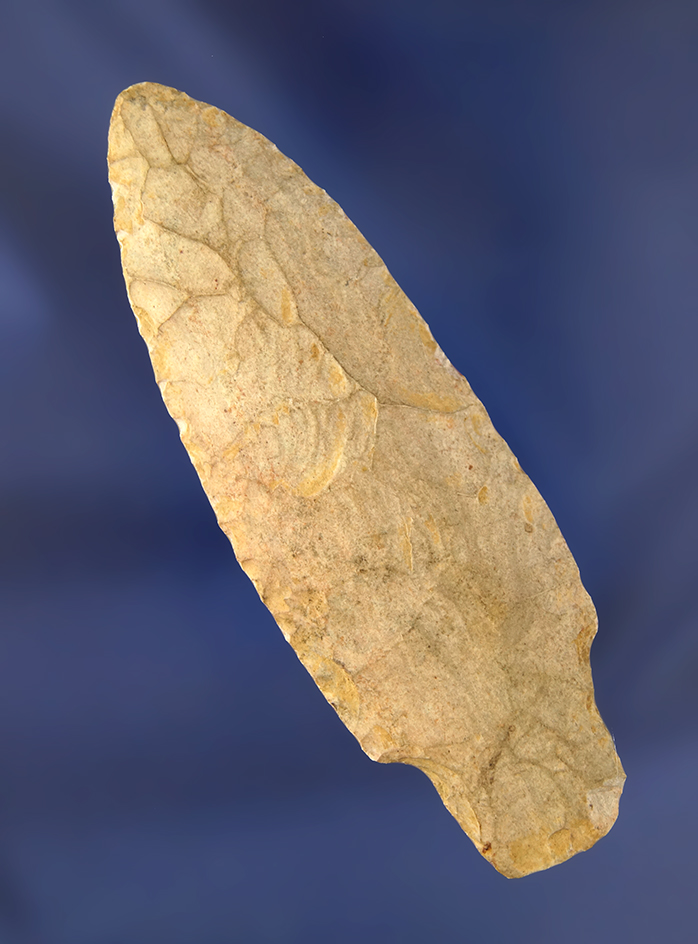 Main artifact image
