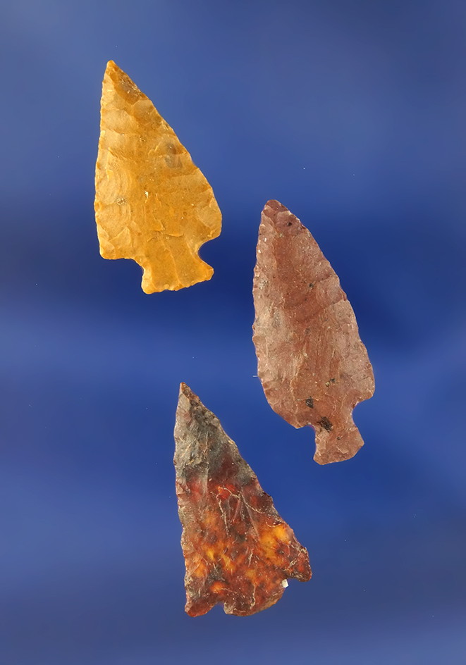 Main artifact image