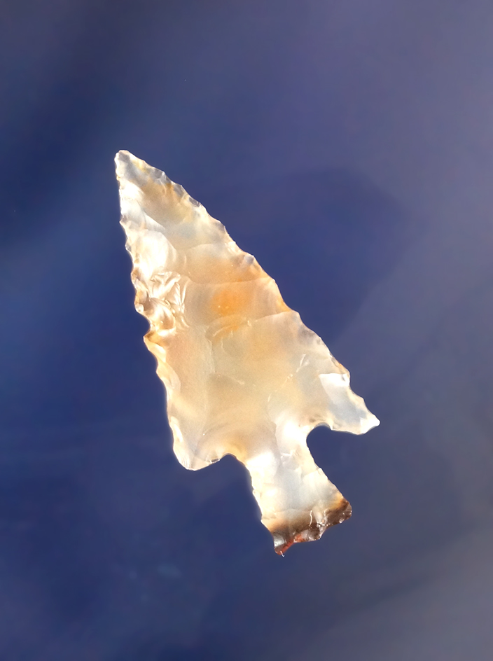 Main artifact image