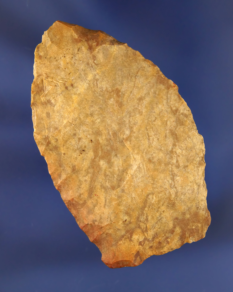 Main artifact image