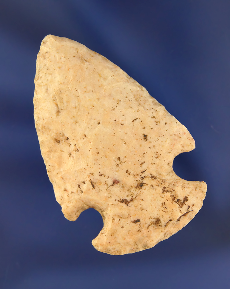 Main artifact image