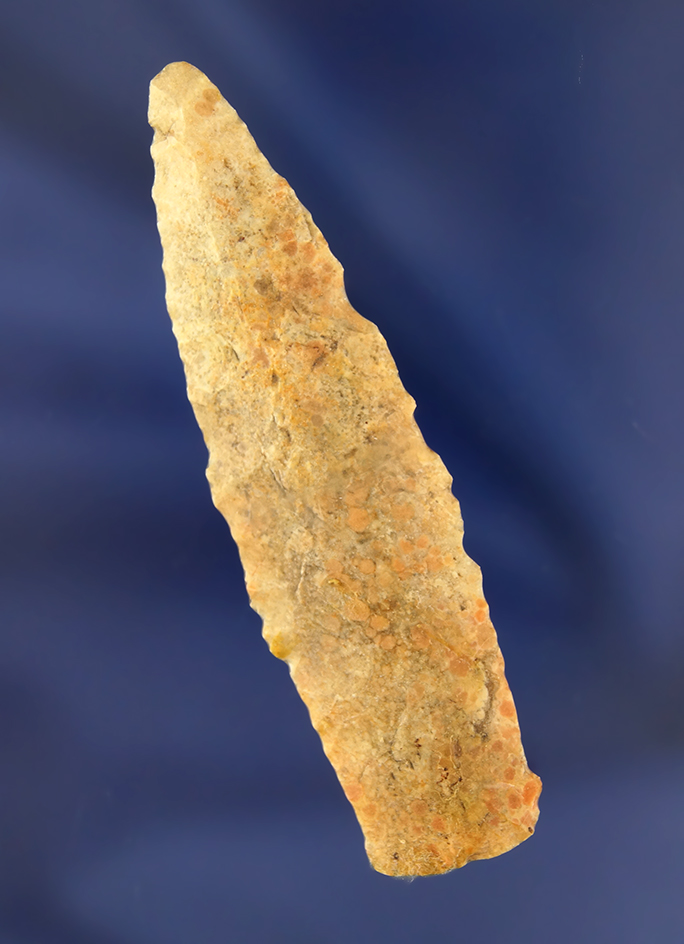 Main artifact image