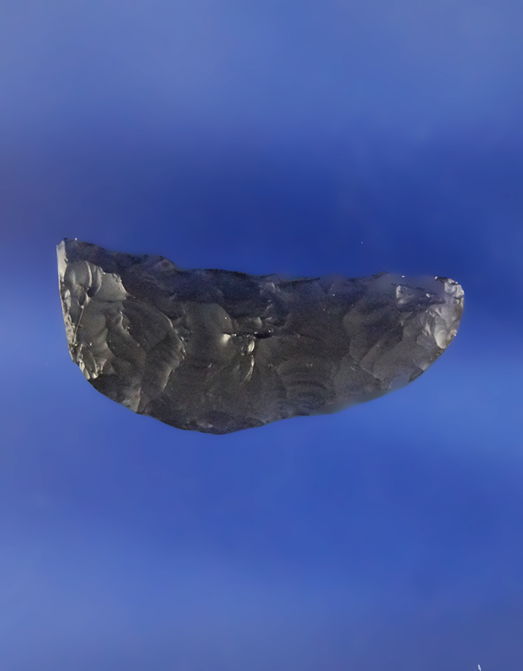 Main artifact image