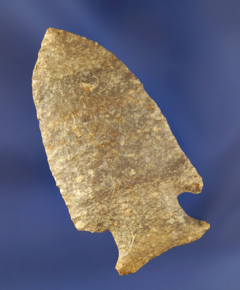 Main artifact image