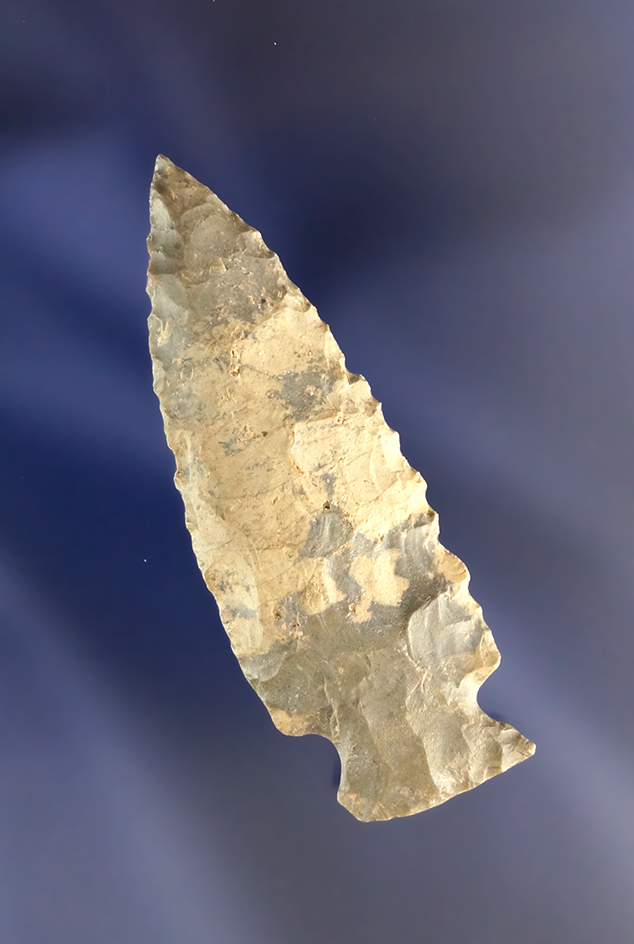Main artifact image