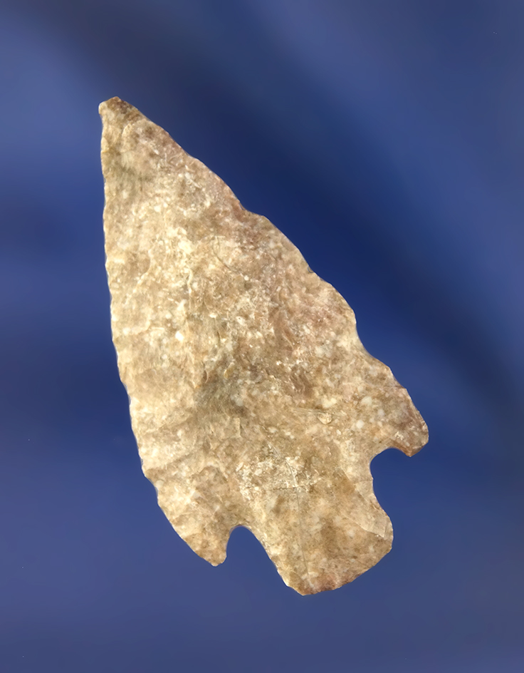 Main artifact image