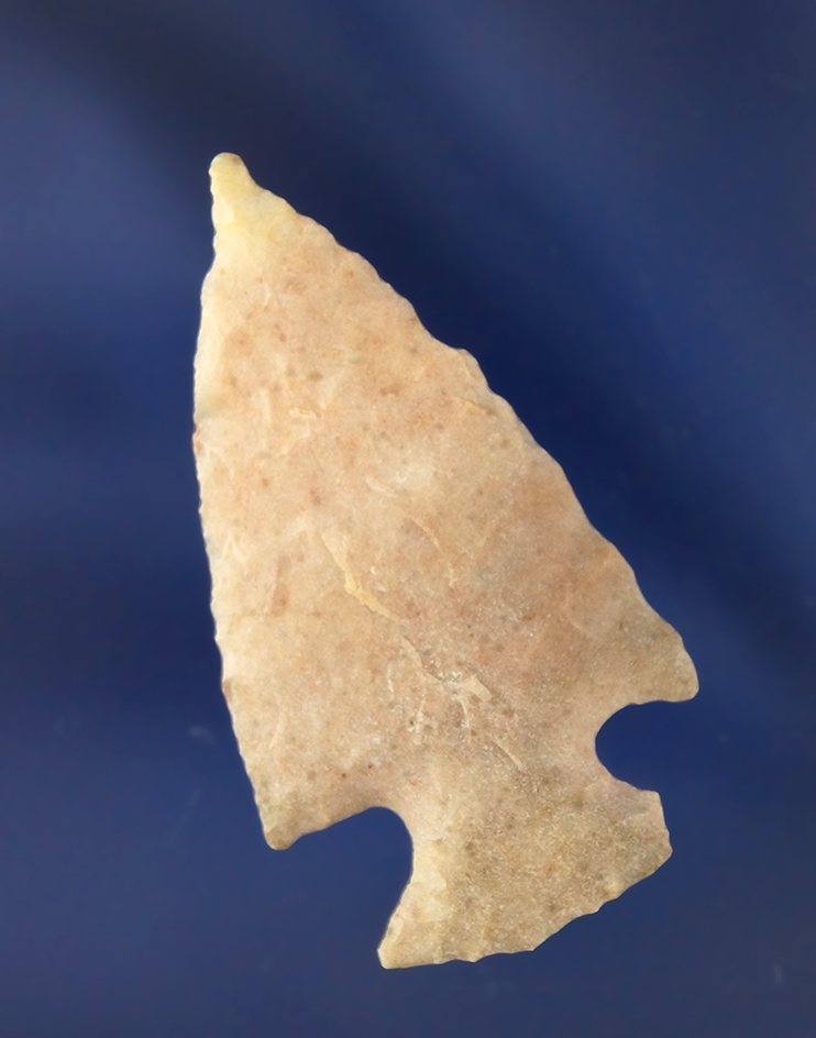 Main artifact image