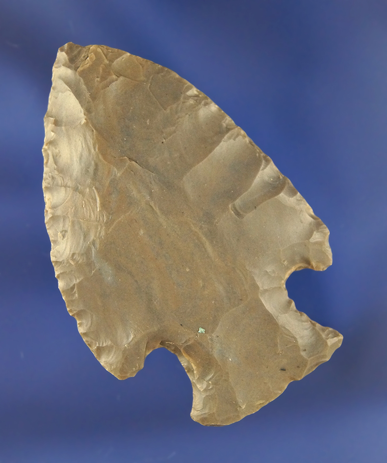 Main artifact image
