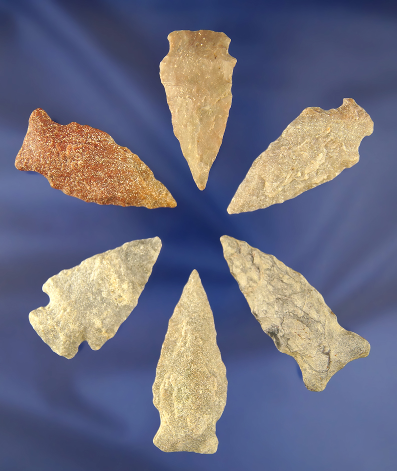 Main artifact image