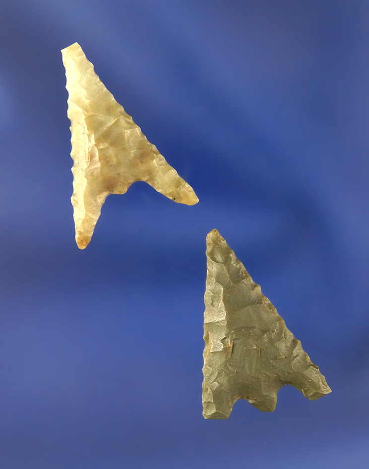 Main artifact image