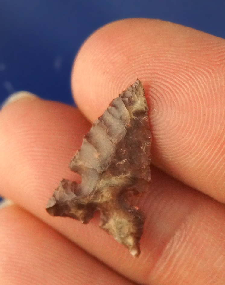 Main artifact image