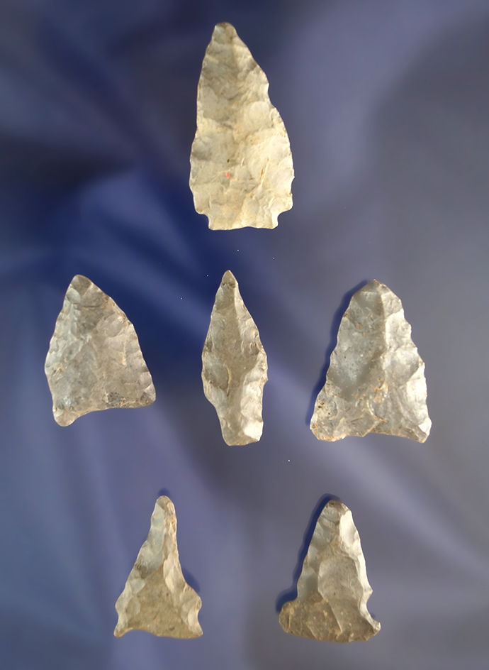 Main artifact image