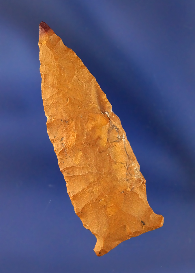 Main artifact image