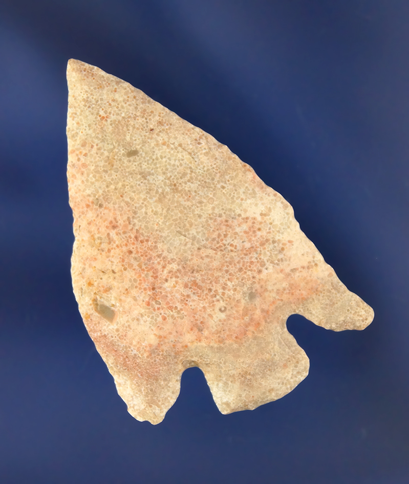 Main artifact image