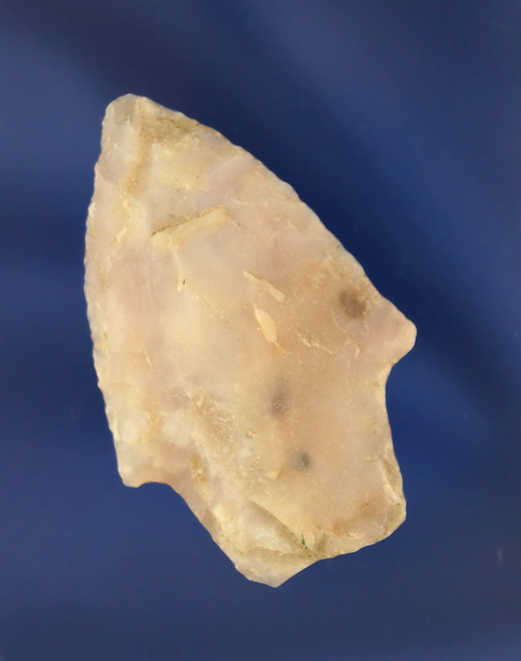 Main artifact image