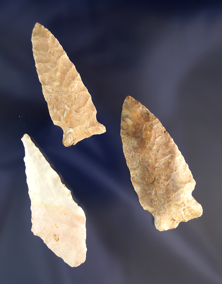Main artifact image