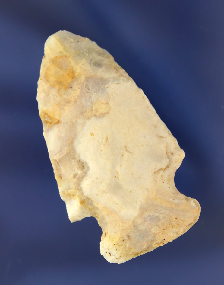 Main artifact image