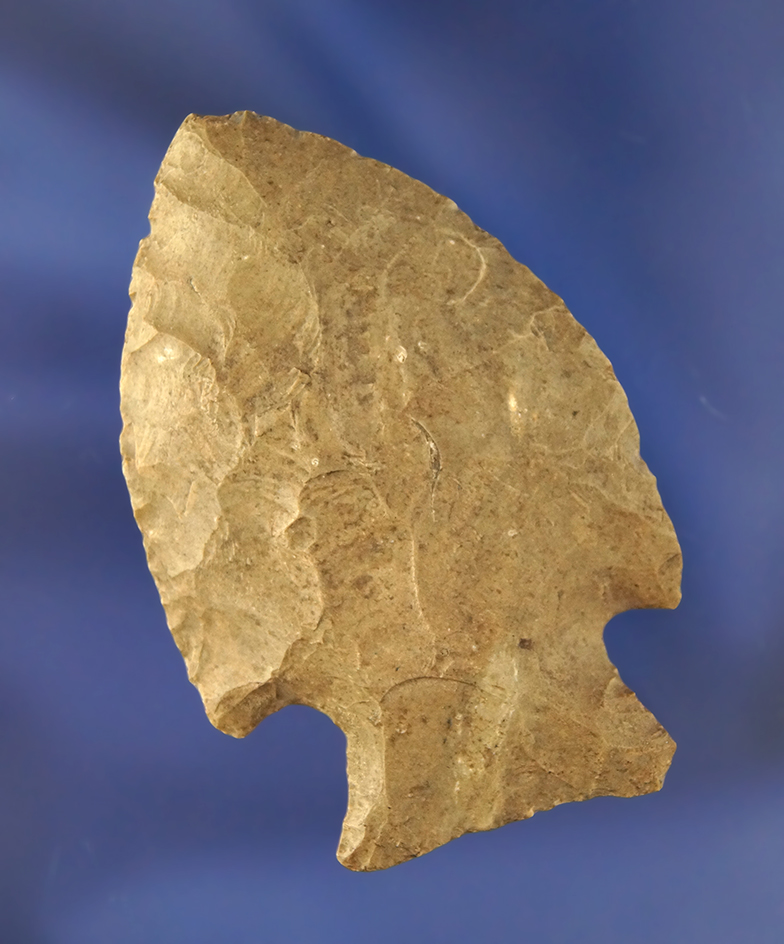Main artifact image