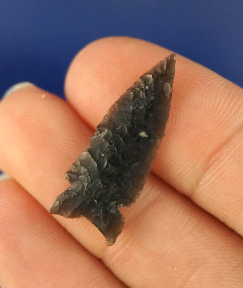 Main artifact image