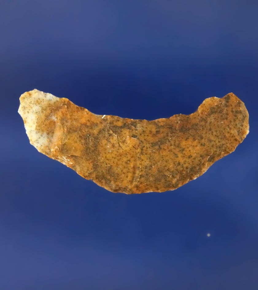 Main artifact image