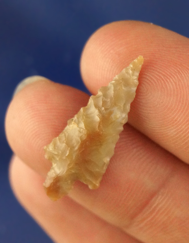 Main artifact image