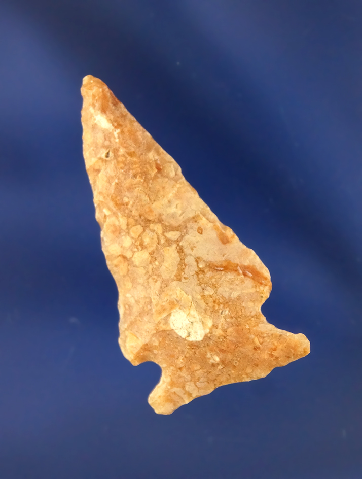 Main artifact image