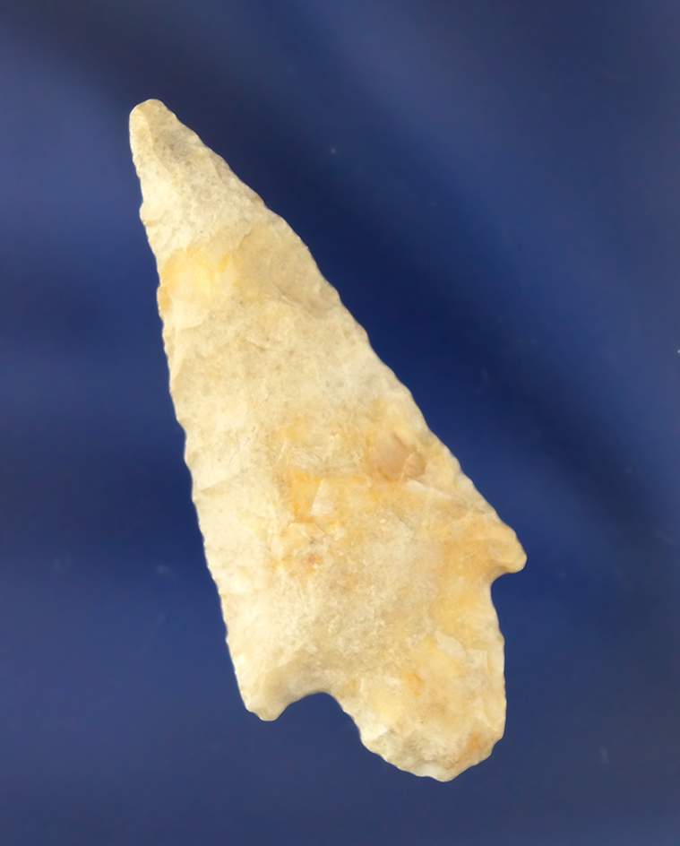 Main artifact image