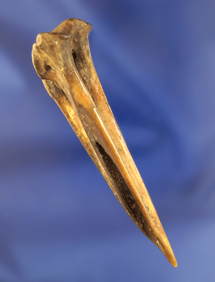 Main artifact image