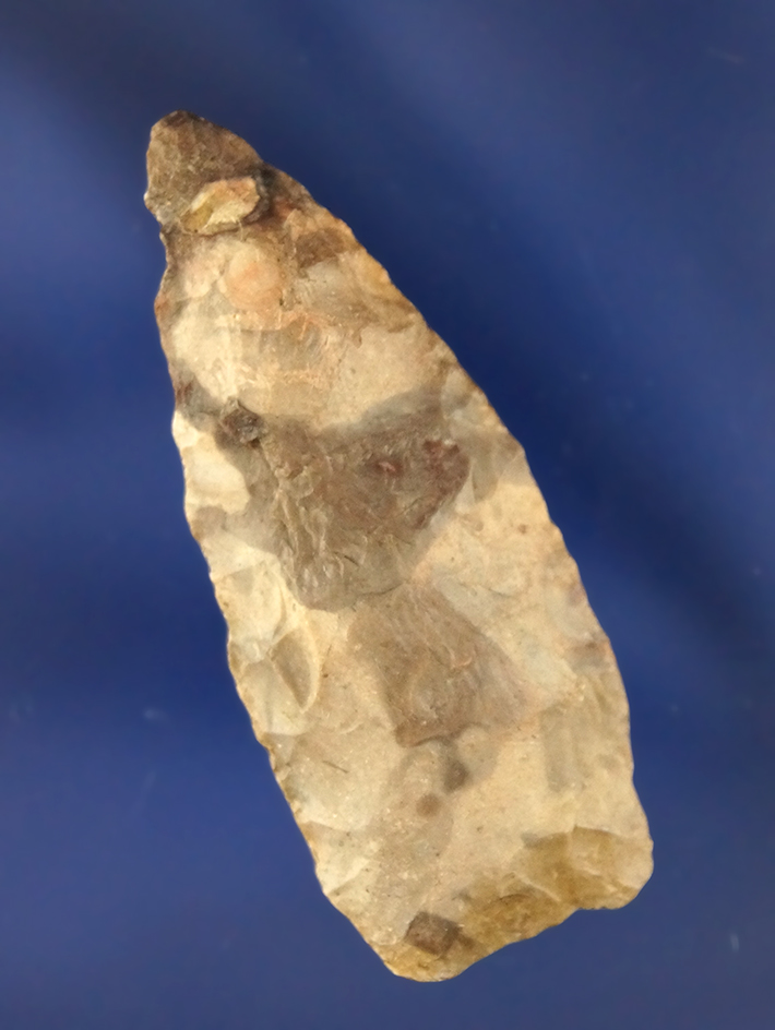 Main artifact image