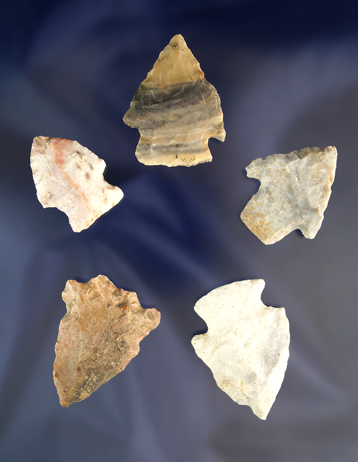 Main artifact image