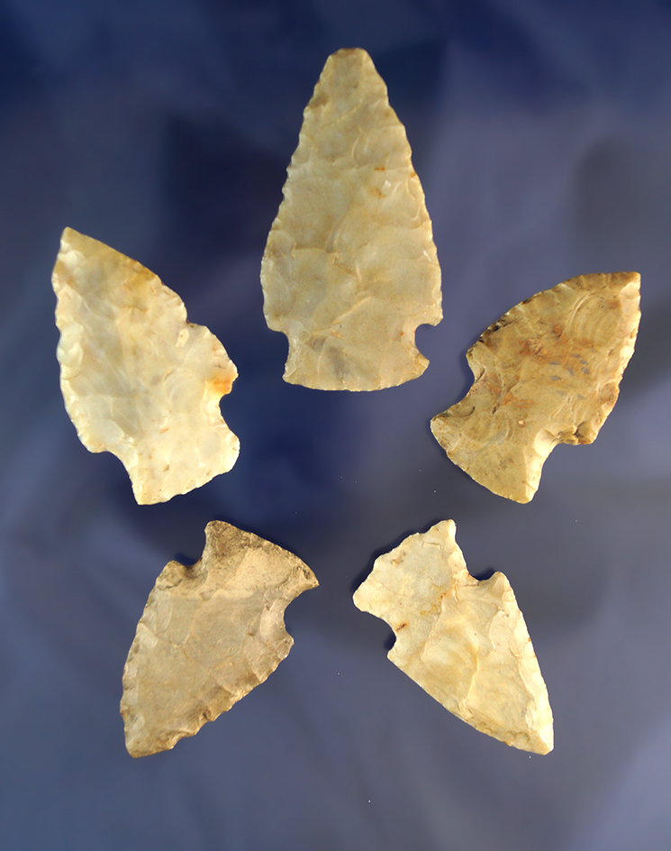 Main artifact image