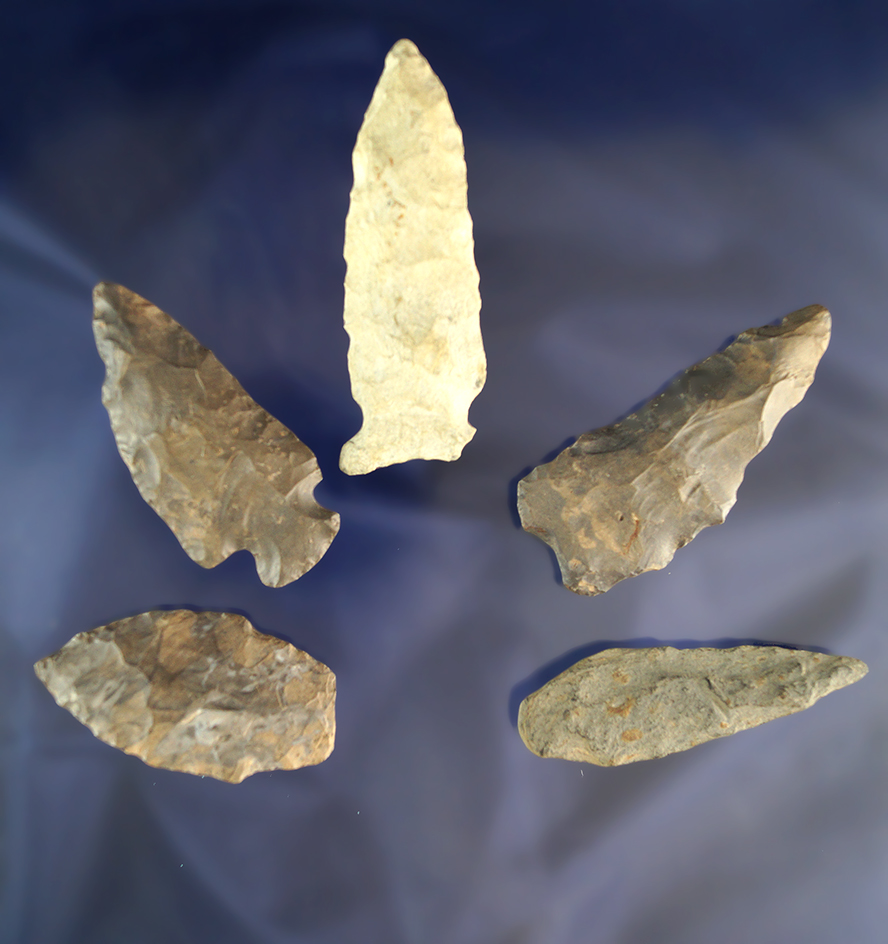 Main artifact image