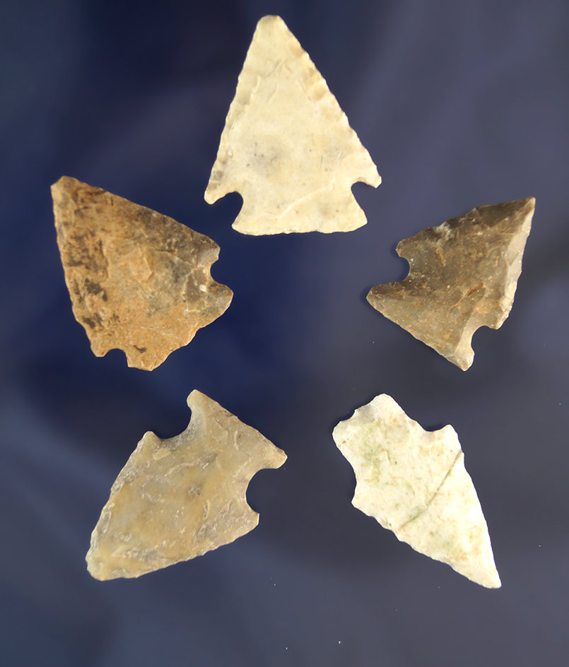 Main artifact image