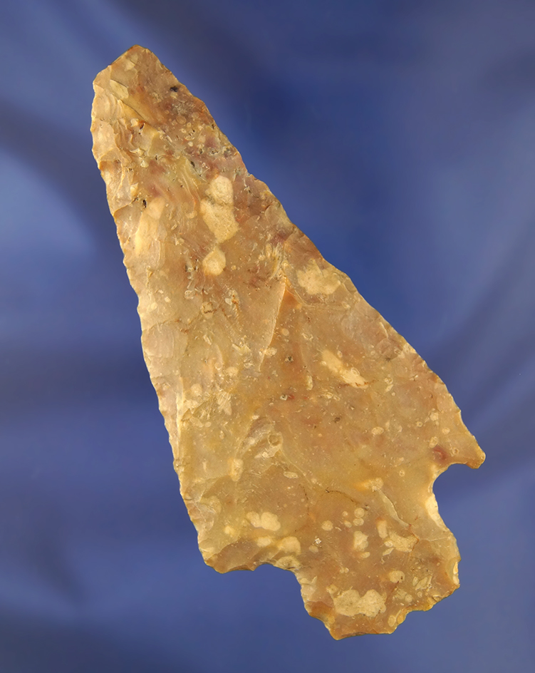 Main artifact image