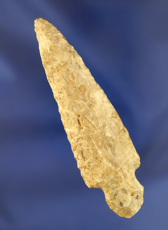 Main artifact image