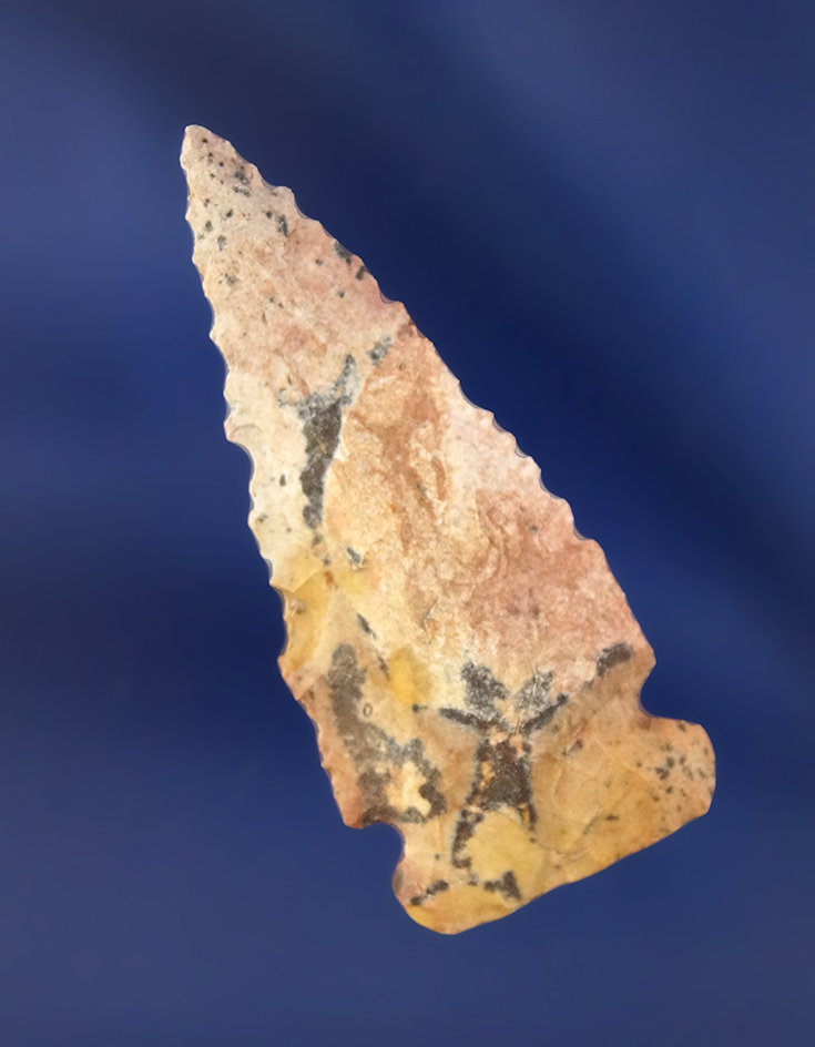 Main artifact image