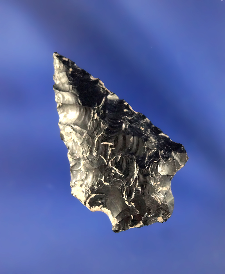Main artifact image
