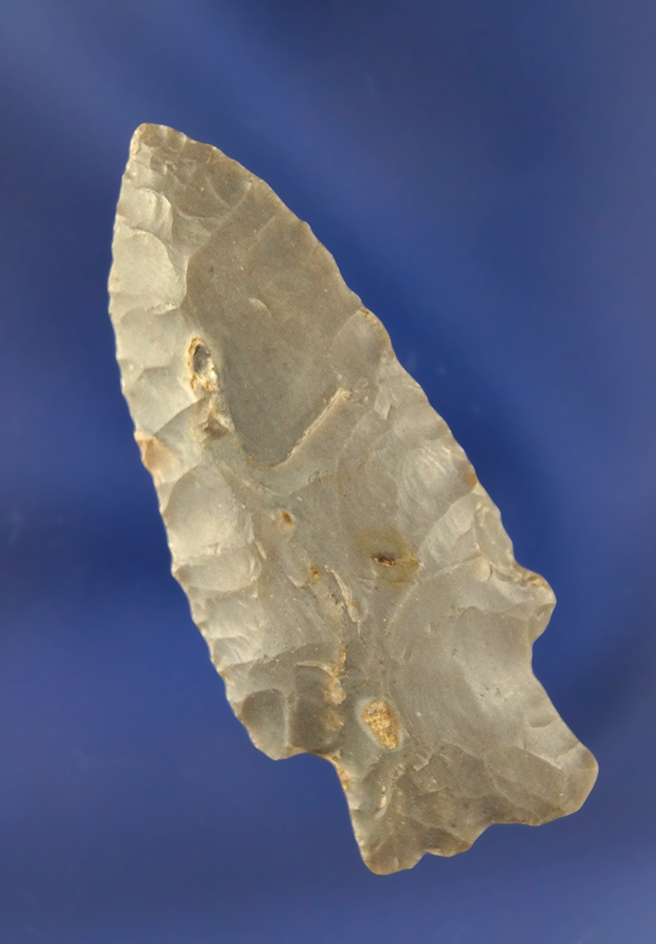Main artifact image