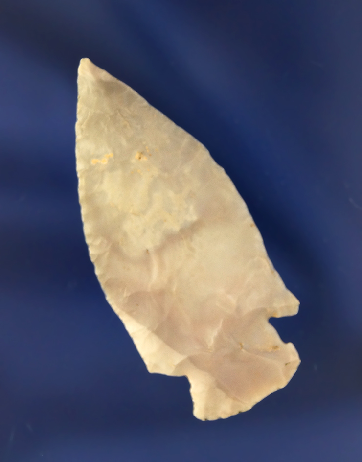 Main artifact image
