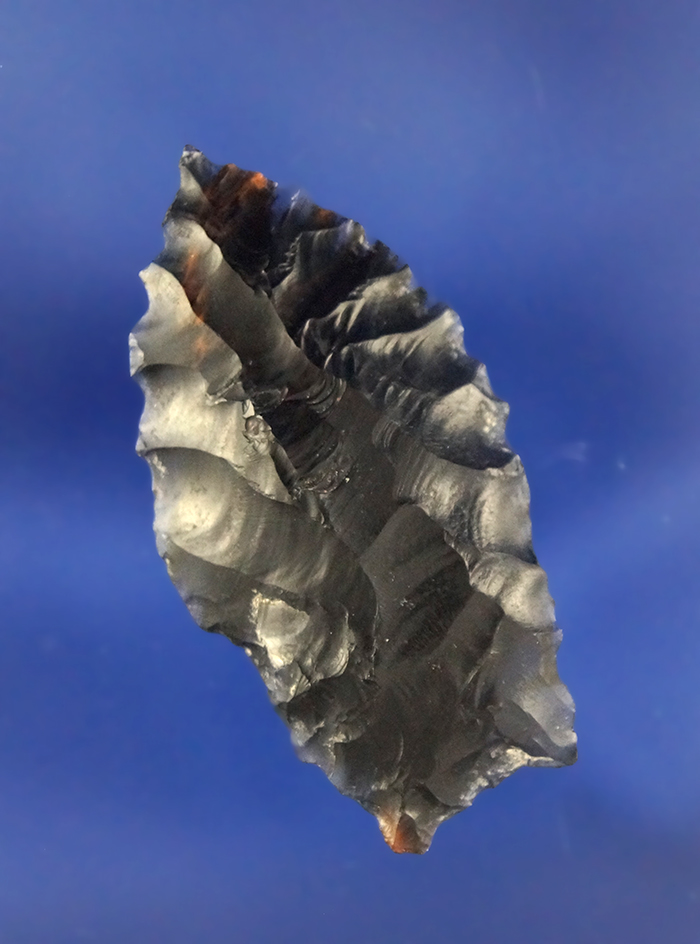 Main artifact image