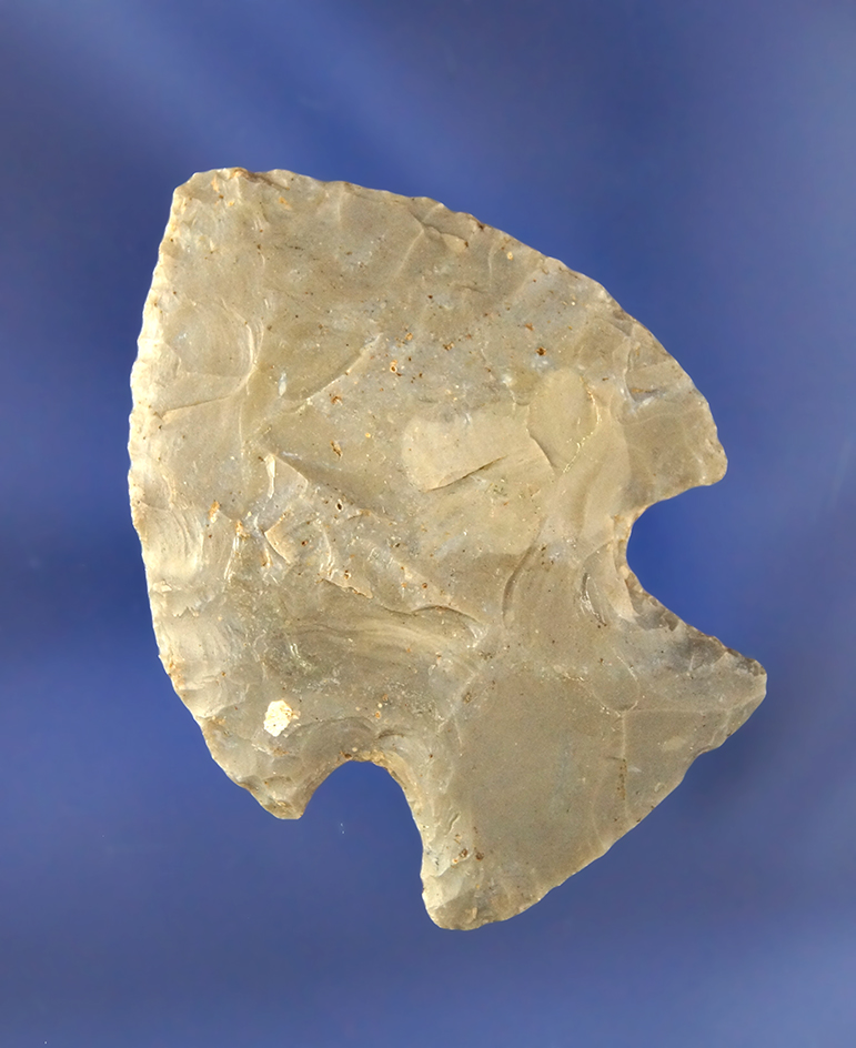 Main artifact image