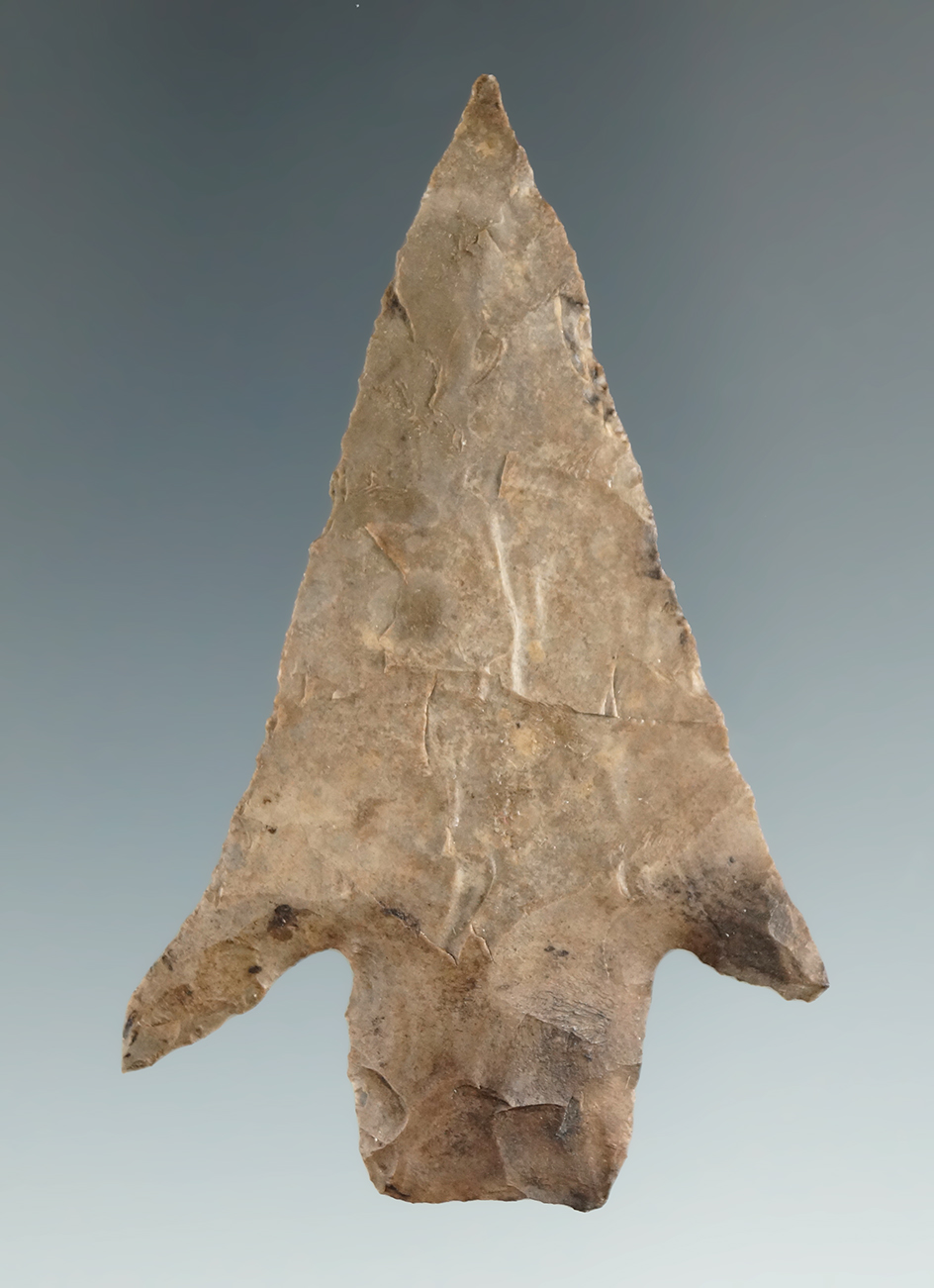 Very fine 2 3/8" Langtry with nice barbs and exceptionally thin. Central Texas. Rogers COA.