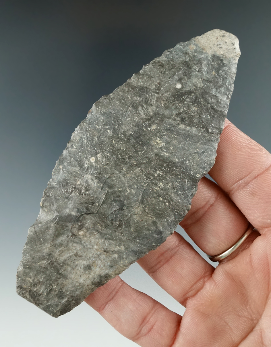 Main artifact image