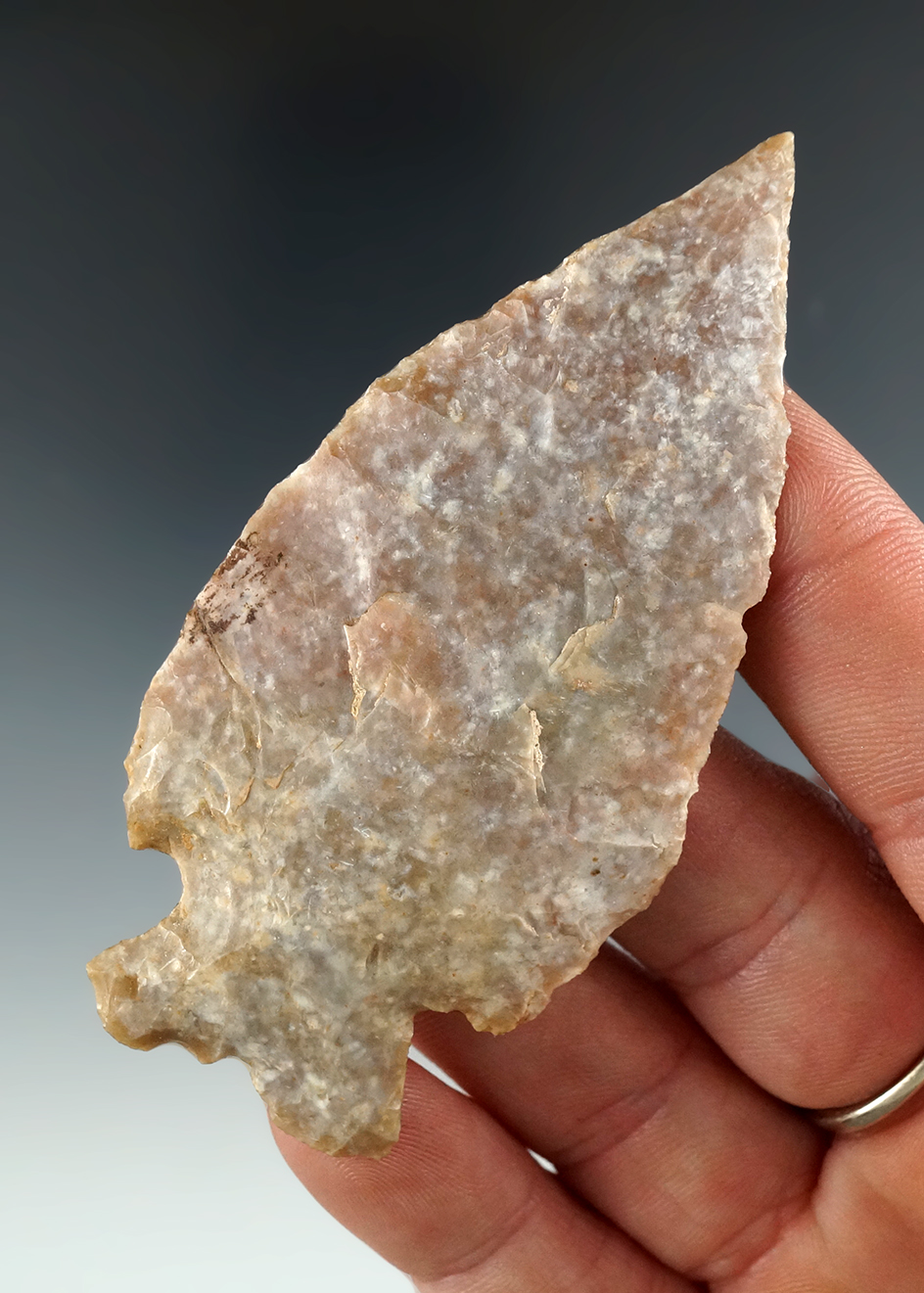 Highly Patinated 3 1/16" Uvalde made from Edwards Chert, Central Texas. Rogers COA.