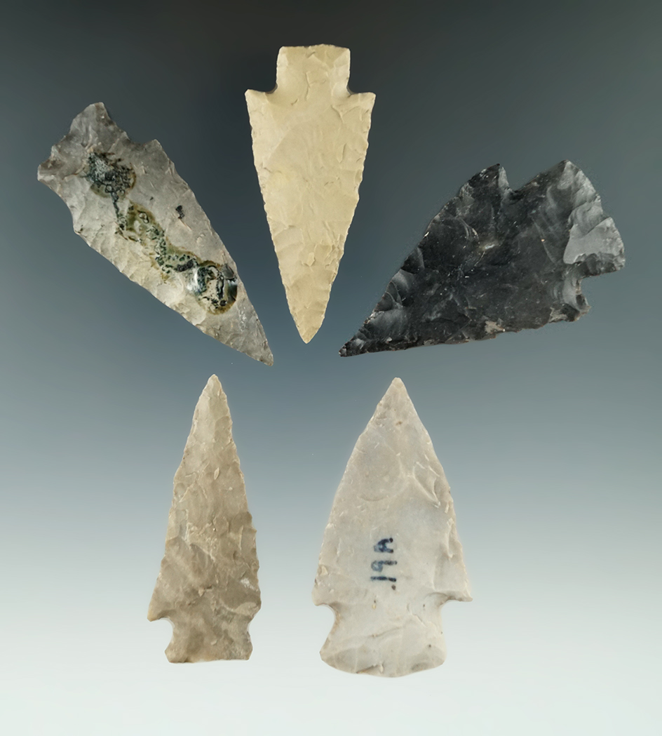 Set of five Lange points found in Texas, largest is 2 1/4".