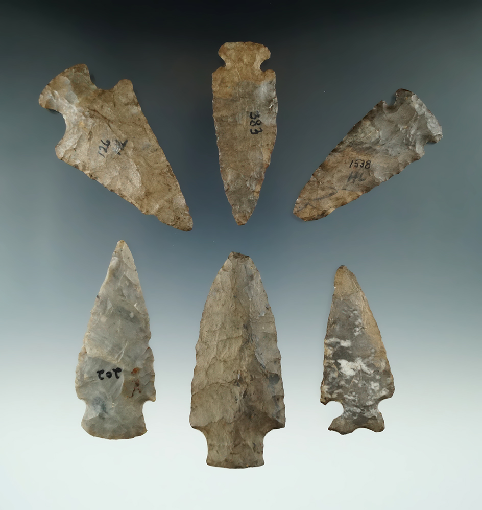 Set of six assorted points found in New York, largest is 2 7/8".