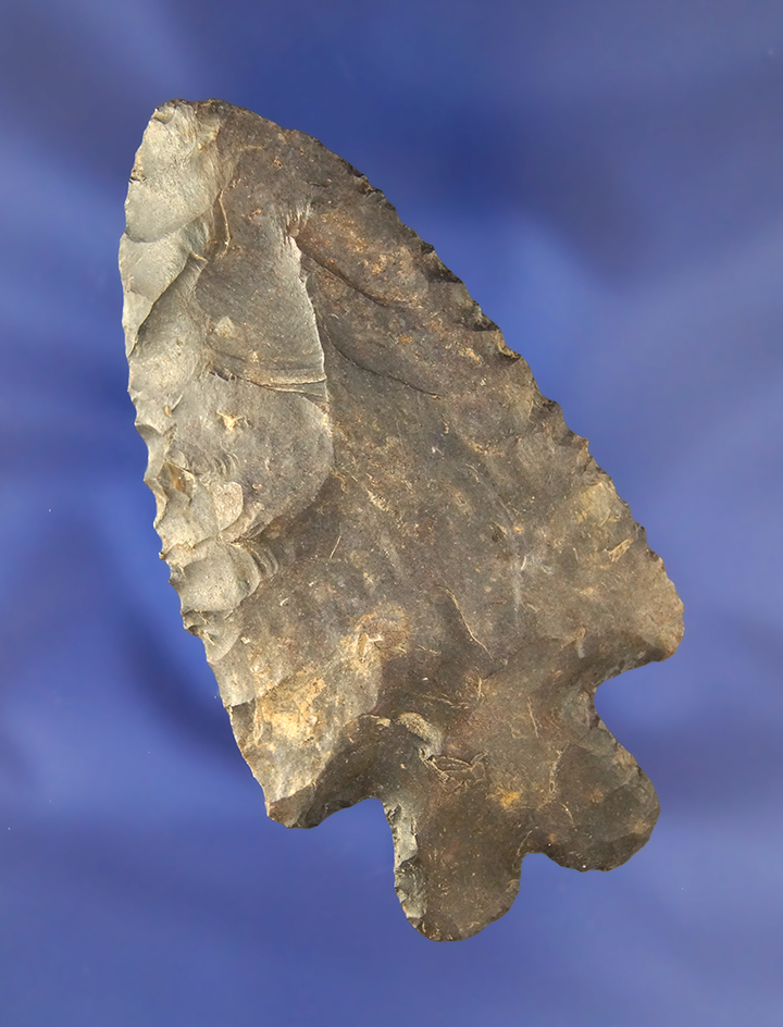 Large 3 1/2" Archaic Bifurcate found in Coshocton Co., Ohio.