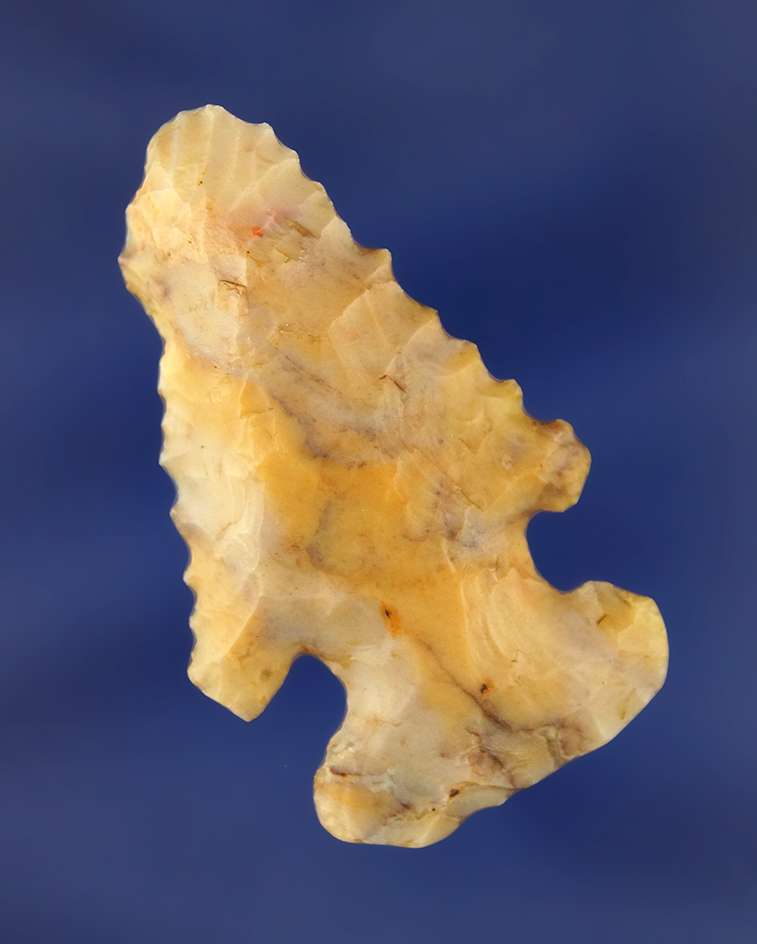 Main artifact image