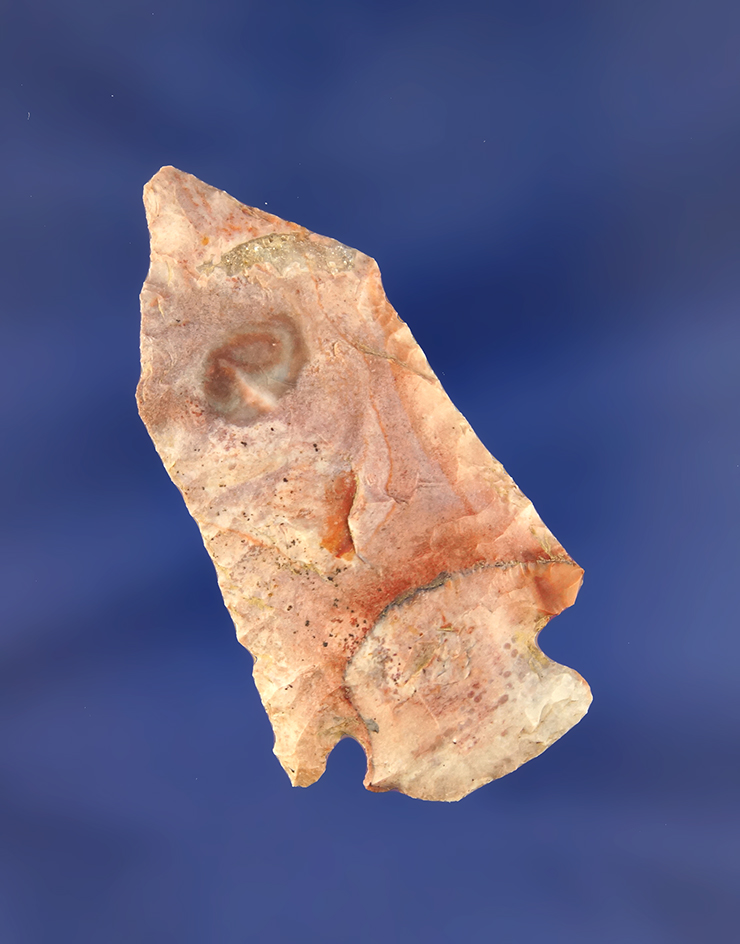 Main artifact image